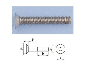 Vis FHC Inox tête fraisée 90° à 6 pans creux M10x20
