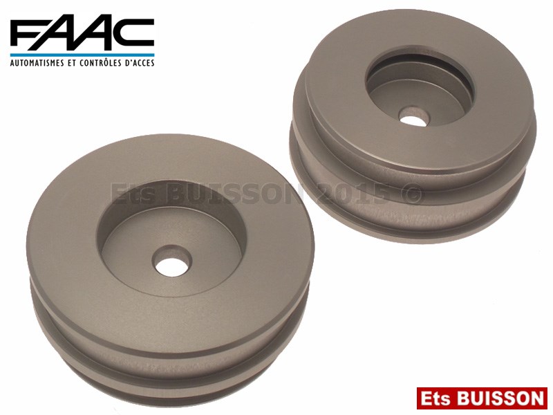 Faac 760 - Paire de pistons - Référence 7350275