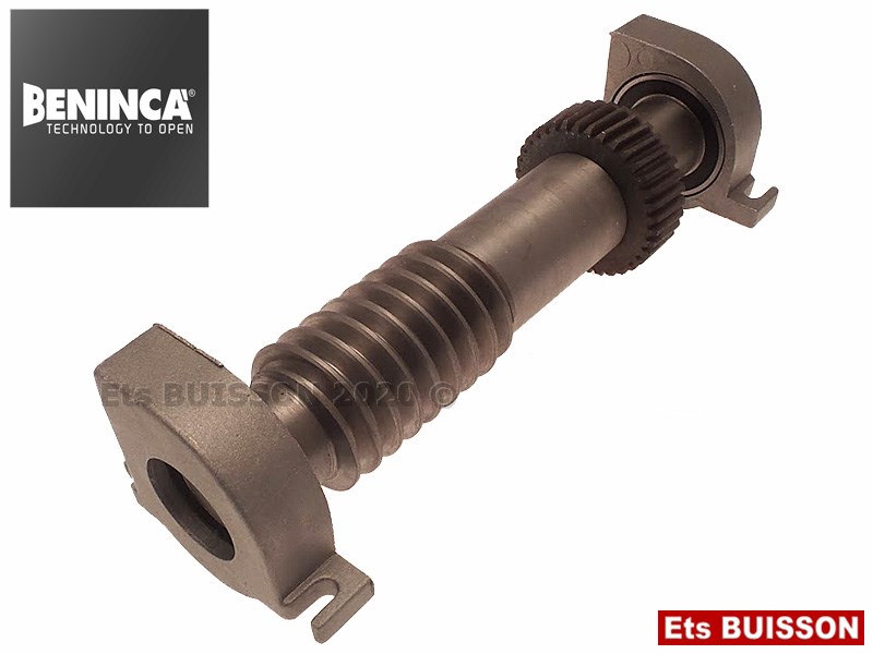 BENINCA DU.350 - Vis sans fin N°5 Ref. 9686015-9686372