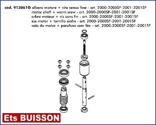 DEA Gulliver - Arbre moteur & vis sans f. ref : 913061G