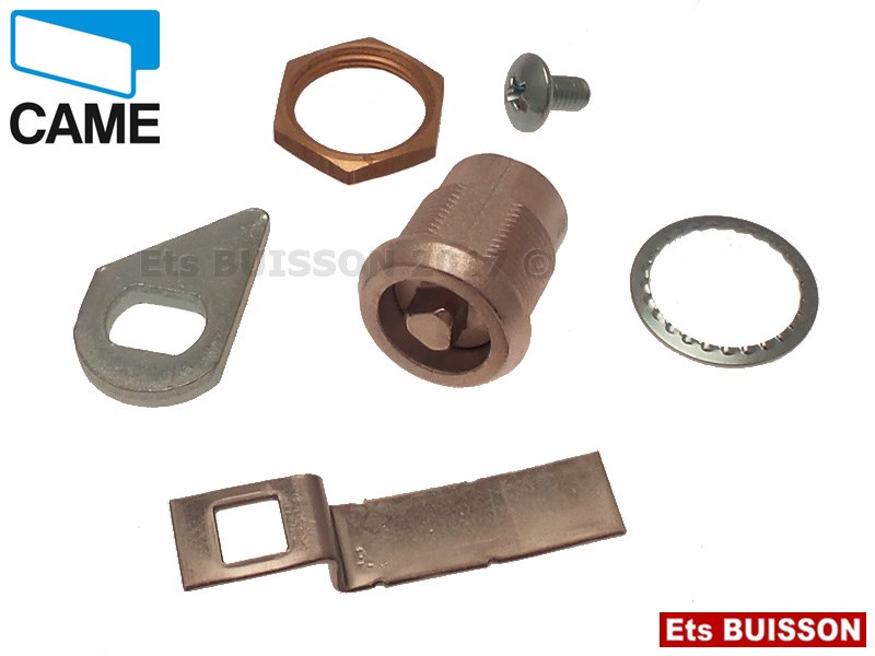 CAME BX-E241 Cylindre serrure 119RIBX012 (2-5)